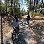 Maison Bois Dans La Foret De Carcans-plage *