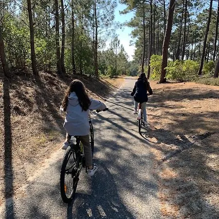 Maison Bois Dans La Foret De Carcans-plage *