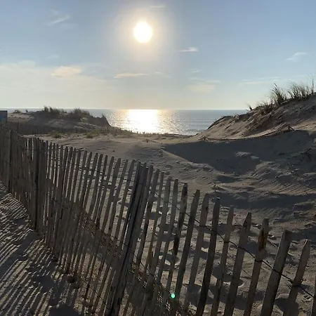 Maison Bois Dans La Forêt De Carcans-plage Hébergement de vacances Carcans