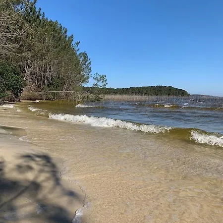Maison Bois Dans La Forêt De Carcans-plage Hébergement de vacances *