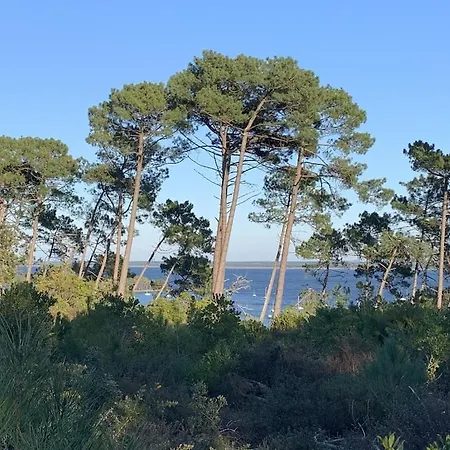 Maison Bois Dans La Forêt De Carcans-plage Hébergement de vacances