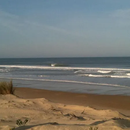 Feriehus Maison Bois Dans La Foret De Carcans-plage