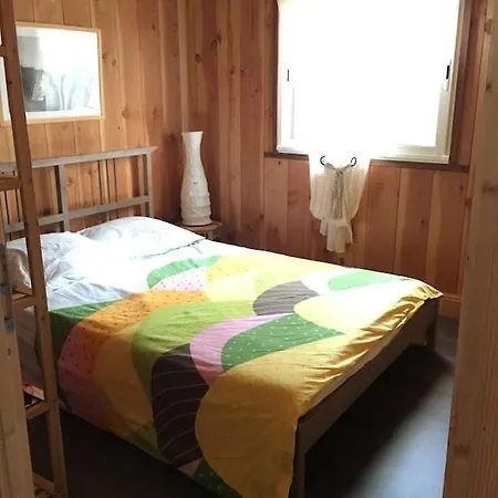 Maison Bois Dans La Foret De Carcans-plage * Carcans