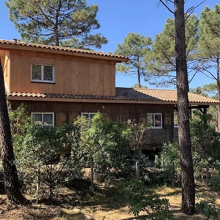 Maison Bois Dans La Forêt De Carcans-plage Hébergement de vacances Carcans
