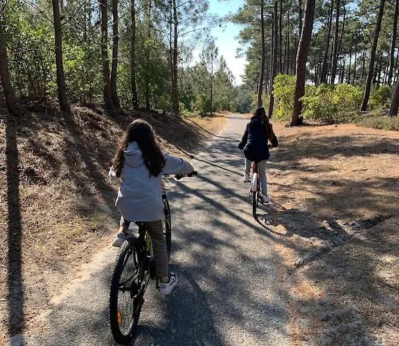 Maison Bois Dans La Foret De Carcans-plage *