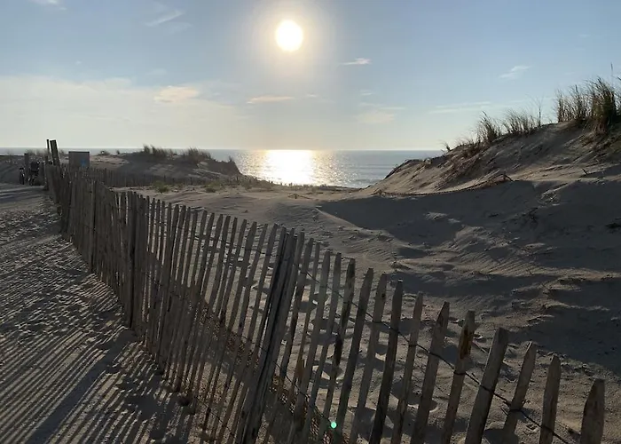 Maison Bois Dans La Foret De Carcans-plage Дом отдыха Каркан