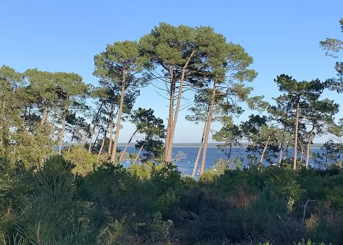 Maison Bois Dans La Foret De Carcans-plage Feriehus