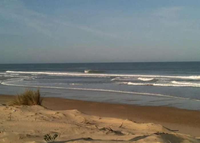 Дом отдыха Maison Bois Dans La Foret De Carcans-plage