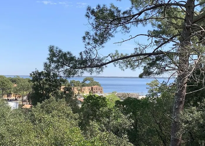 Maison Bois Dans La Forêt De Carcans-plage Hébergement de vacances